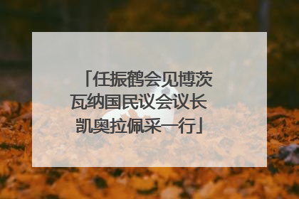 任振鹤会见博茨瓦纳国民议会议长凯奥拉佩采一行